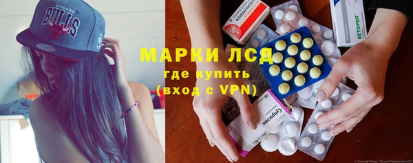 стаф Богданович
