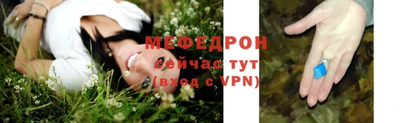 стаф Богданович