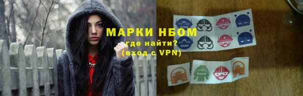 ПСИЛОЦИБИНОВЫЕ ГРИБЫ Белокуриха
