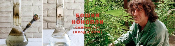 гидра Сосновка