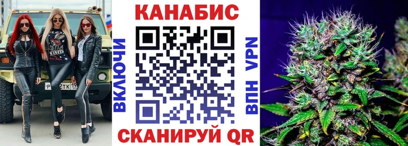 Конопля гибрид  Югорск 